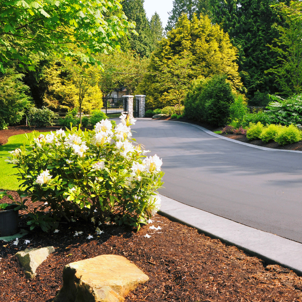 Local Driveway Solutions by WCD in Hollywell