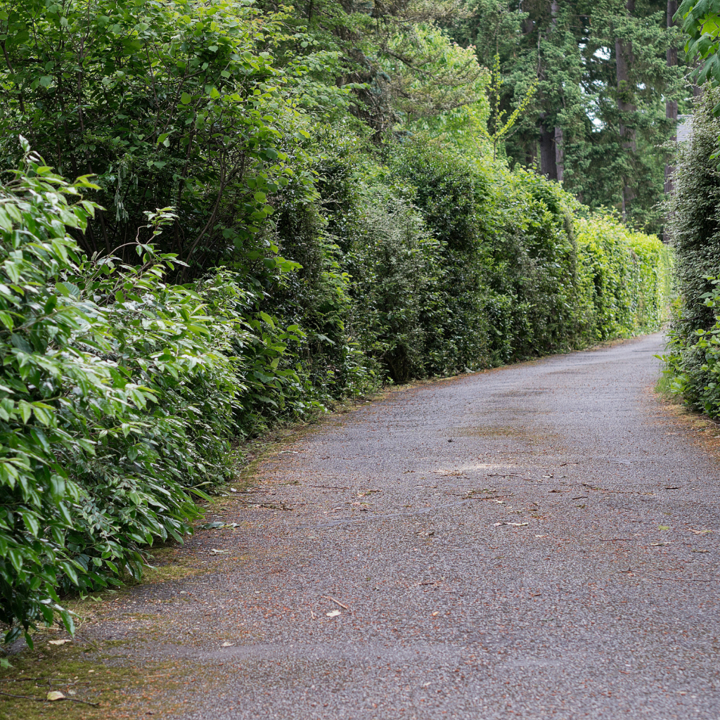 Quality Tarmaced Driveway by WCD Hollywell driveway company